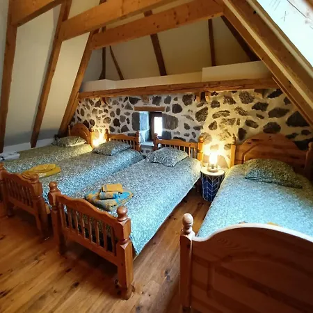 Confort 10 Pers A 8 Km Du Lioran Holiday home Saint-Jacques-des-Blats